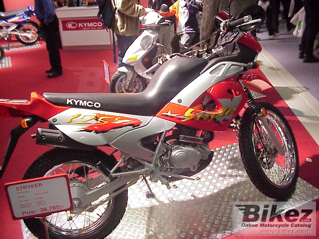 Big Harald Holm stryker 125 picture and wallpaper from Bikez.com